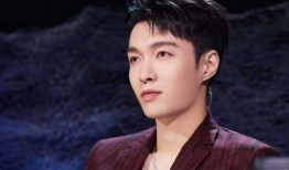 圈内人爆料张艺兴,揭秘娱乐圈背后的努力与成长