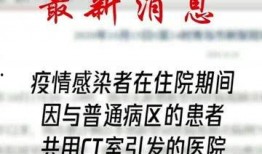 最新青岛爆料消息,揭秘城市新动态与热点事件
