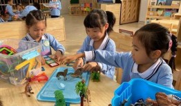 珠海幼儿园爆料事件视频,惊人内幕曝光，家长震惊不已