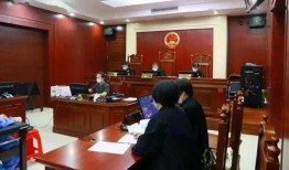 爆料高密城投事件视频网,视频曝光背后的真相与争议
