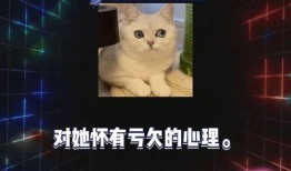 娱乐八卦在线吃瓜视频下载,在线吃瓜视频下载全攻略