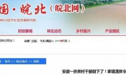 界首市新闻爆料网站官网,聚焦本土热点，传递民生声音