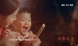 爆料回家过年视频,真实爆料背后的温馨故事