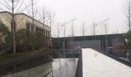 金茂悦最新爆料,揭秘高端住宅的奢华与未来趋势