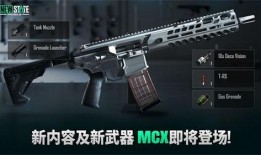 未来之役最新爆料m4,M4神秘爆料，揭秘全新战术利器