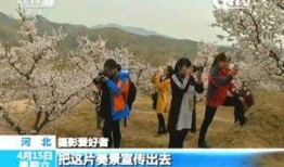 下花园新闻爆料找哪里,聚焦热点事件，深度解析社会现象