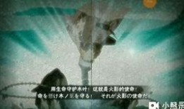 火影官方爆料水门视频,水门神秘视频背后的真相与秘密
