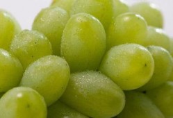 网红提子最新爆料新闻,揭秘娱乐圈惊人内幕