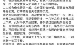 冯绍峰爆料者视频,视频内容引发热议