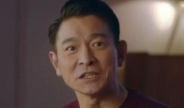 网络爆料刘德华事件视频,真相揭秘，网友热议