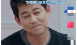 苏醒爆料陆虎视频播放下载,揭秘娱乐圈幕后风云