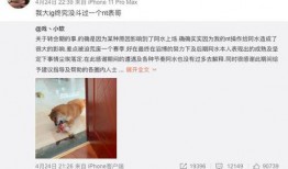 表哥吃瓜合集在线观看免费,免费在线观看，笑料横生，欢乐无限