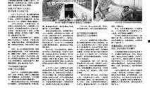 新闻爆料稿,新闻爆料稿背后的真相与影响