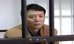 法国刘哥爆料视频播放,法国视频播放背后的惊人真相