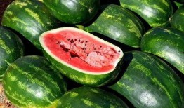 青海最新吃瓜视频免费看