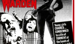 纳粹女魔头 在线观看,在线观看背后的历史真相