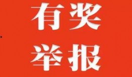 爆料有奖发视频违规吗,揭秘“爆料有奖发视频”违规真相