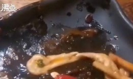 吃口香糖爆料视频,揭秘吃口香糖时的惊人爆料视频