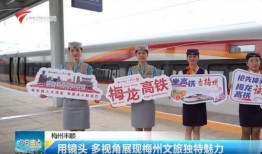 广东梅州爆料新闻视频最新,视频揭露惊人真相，引发社会关注