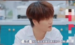 苏醒爆料陆虎视频播放下载,揭秘娱乐圈幕后风云