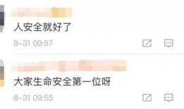 乐山最新爆料新闻视频,揭秘神秘事件背后的真相