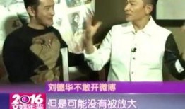 网络爆料刘德华事件视频,真相揭秘，网友热议