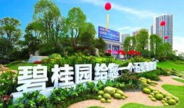 洪雅碧桂园爆料视频大全