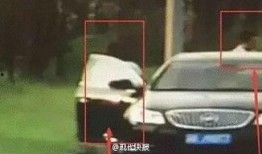 车震野战视频在线观看,在线观看背后的真相与警示