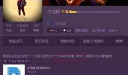 粉条爆料视频大全集下载,揭秘幕后真相