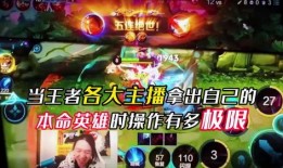 坑神王者爆料的视频,视频内容深度解析