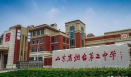 湛江第二中学爆料案件最新,揭秘校园内幕，真相令人震惊！