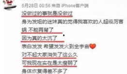 最新回响爆料新闻内容怎么写,揭秘事件背后真相