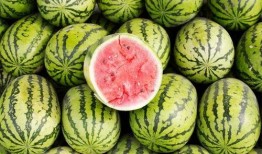 qq吃瓜网红图片,QQ吃瓜瞬间，揭秘娱乐圈幕后真相