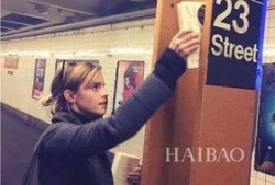 艾玛马克思在线观看