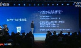 徐小平爆料视频大全下载,揭秘名人与事件的背后真相