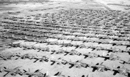 辉门二厂爆料视频播放,揭秘工厂真实生产状况