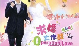 求婚大作战在线观看,浪漫爱情喜剧，甜蜜回忆重现