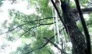 决战风铃渡在线观看,热血激战，巅峰对决