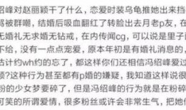 冯绍峰爆料者视频,视频内容引发热议