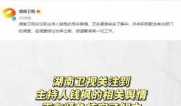 娱乐圈吃瓜暗语,暗语背后的真实故事