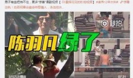 卓伟爆料出轨图片视频,出轨画面曝光，真相令人震惊