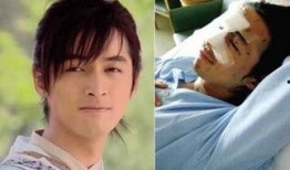 娱乐圈车祸爆料,惊心动魄的瞬间与幕后真相