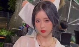 袁丽微博爆料视频最新版,事件真相再引热议