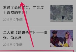 往期视频爆料怎么查看的,探索查看方法的独家攻略