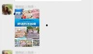 博兴事件爆料视频大全,真相与争议交织的舆论漩涡