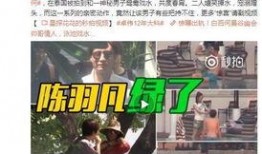 陈飞爆料原视频在哪看,揭秘事件真相