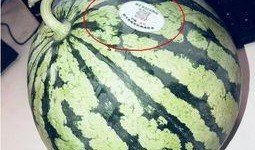 718吃瓜网红,揭秘网络红人的幕后故事