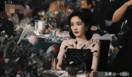 站姐爆料娱乐圈,揭秘明星幕后故事与真实生活