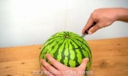 青海最新吃瓜视频免费看