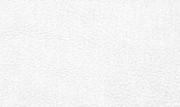 黎明觉醒10月最新爆料,神秘势力崛起，英雄集结，战火再燃！